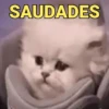 Memes, reações e deboche 7