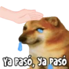 ☄️ MEMES Mov 1 🍪 5