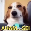 MEMES PRA TUDO 😁 9