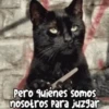 ANIMADOS RANDOM 8.0 7