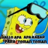 Patrick 8