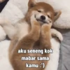 Mabarlossgif 11