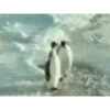 Funny Fights 12