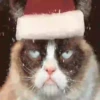 Рождественские мемы 🎄🎅 6