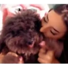 Miaotv figurinhas animadas 18