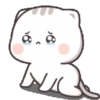 KITTY CHAN 5