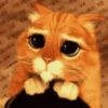 Gatitos animados 15