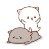 Mochi Cat 18