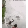Crianças e memes 15