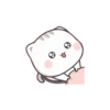 Mochi Cat 26