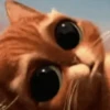 Memes, reações e deboche🤣 11