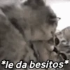 🌈🌈 Mix Gatitos Animados 😻☁️❤️🌈 15