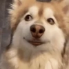 Mmmmm 9