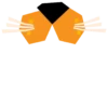 Flex Your Inner Tiger 6