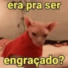 é meme & deboche 😌 13