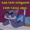 VIRAIS DA SEMANA ✨ 11