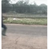 Funny Animated 12