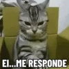 REAÇÕES DEBOCHADAS 👁️〰️👁️ 8
