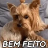 MEMES FOFINHOS 🥰❤️ 13