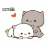 Ini juga random:v 13