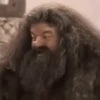 Harry Potter 13