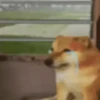 Funny Reactions 7