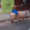 анимированный тикток 6