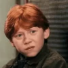 Harry Potter 8