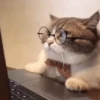 Low quality cat 5