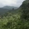 MEMES 11