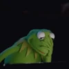 🐸 La Rana René 🐸 17