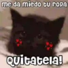 💓🐱Michis Para Tu Amorcito🐱💓 15