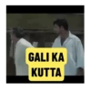 GALI KA KUTTA
