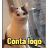 Para os fofoqueiros🤣 5