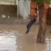 Animated Memes 12