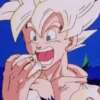 Dragon Ball 7