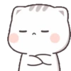 KITTY CHAN 14