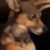 Memes pa’ enviar Animados 😮‍💨✨ 7