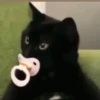 Gatitos animados 10