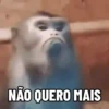 INDIGNADO😤 8