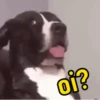 MEMES ALEATORIOS 15