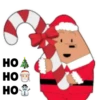 Natal 17