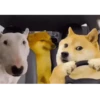 Animated Animals 5
