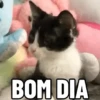 Aleatórias e engraçadas 🤭😂 6