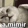 MEMES PRA QUALQUER MOMENTO 😅 12