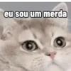 Carente😔 11