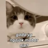 Mabarlossgif 13