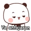 Ositos Enamorados ❤️🥺 17