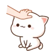 ANIMADOS RANDOM 8.0 11