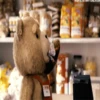 Memes Ted 🧸 12